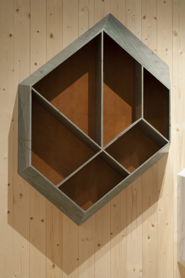 Budri_Earthquake5_9_Bookcase_01