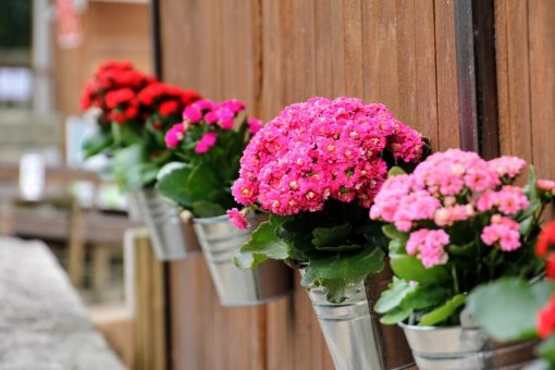 Portavasi da balcone: 10 idee