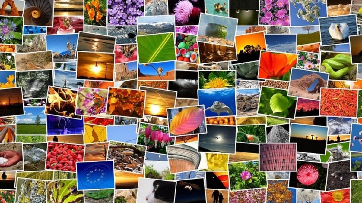 collage-foto