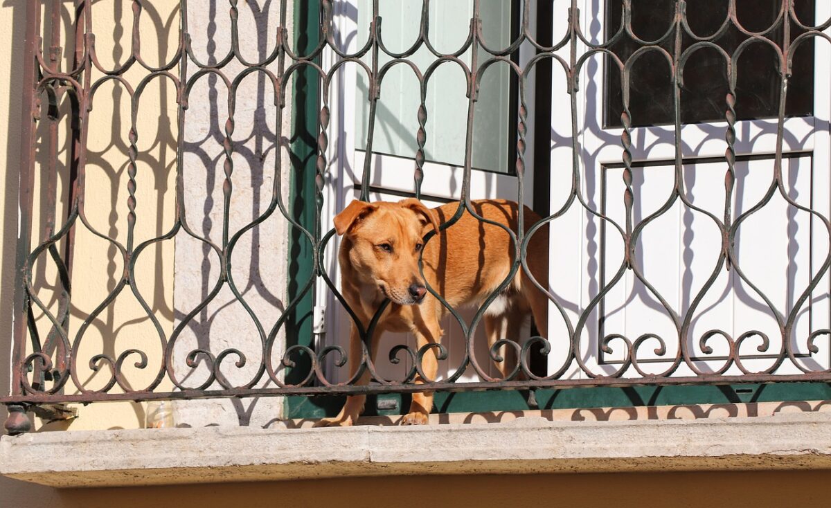 cosa-non-lasciare-mai-in-balcone-13