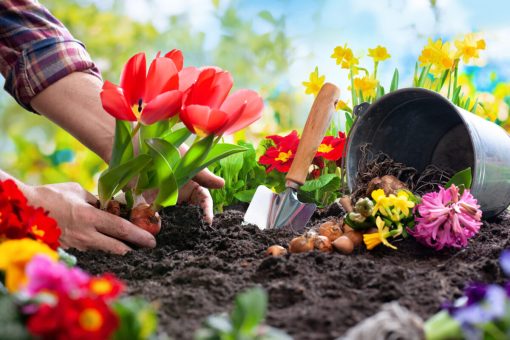 Regali di Natale utili per il giardino