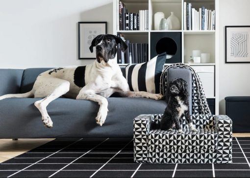 Pet-friendly: il design per chi ama gli animali
