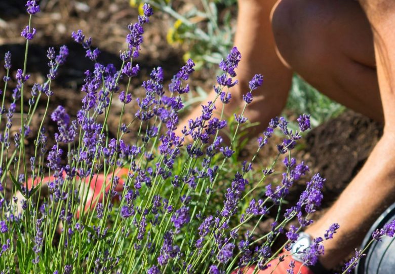 10-idee-e-foto-di-giardino-in-stile-provenzale-05
