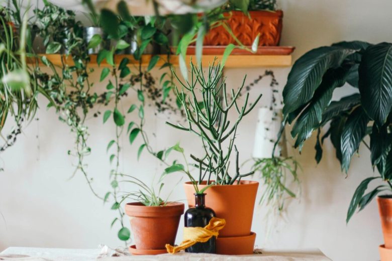 10-decorazioni-low-cost-per-la-cucina-idee-e-foto-7