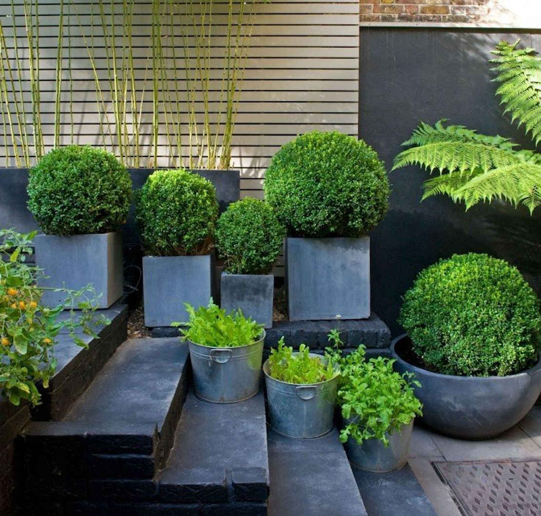 Bamboo Garden Design Ideas Small Garden Ideas