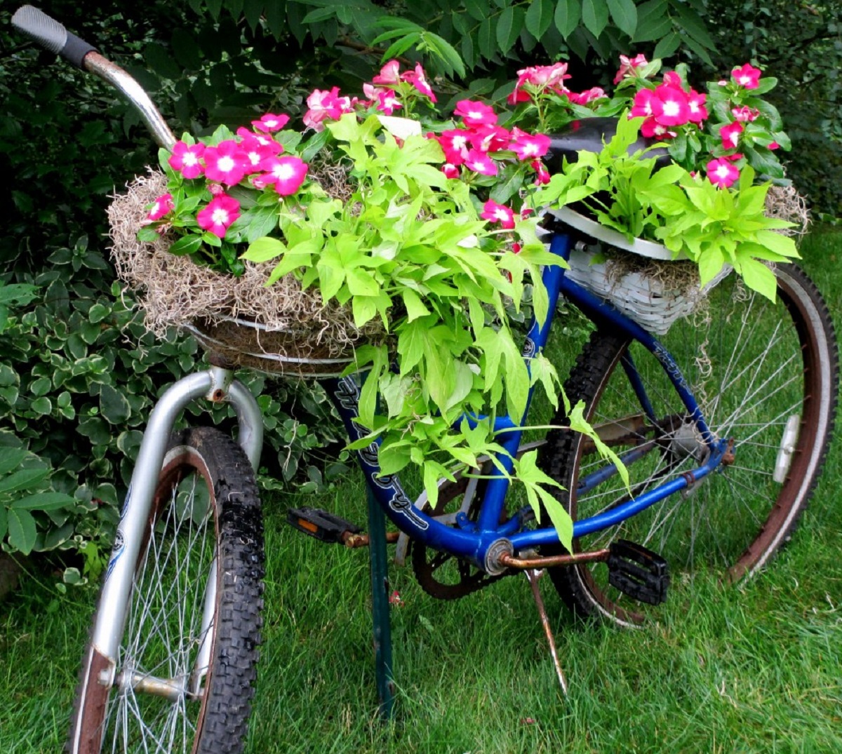 abbellire-il-giardino-fai-da-te-bicicletta-fioriera