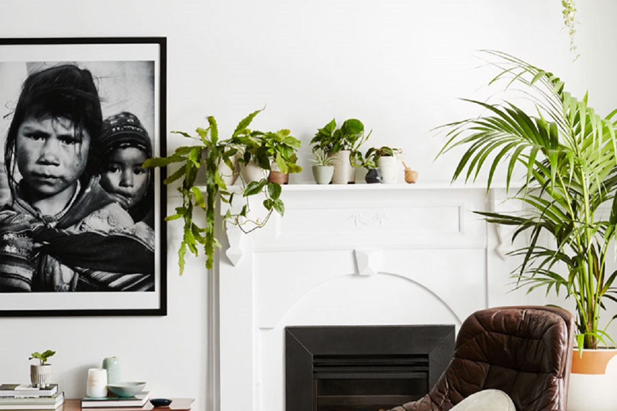 Feature-Ivy-Muse-Autumn-Plant-Care-Hunting-for-George-Day7Daylesford_10