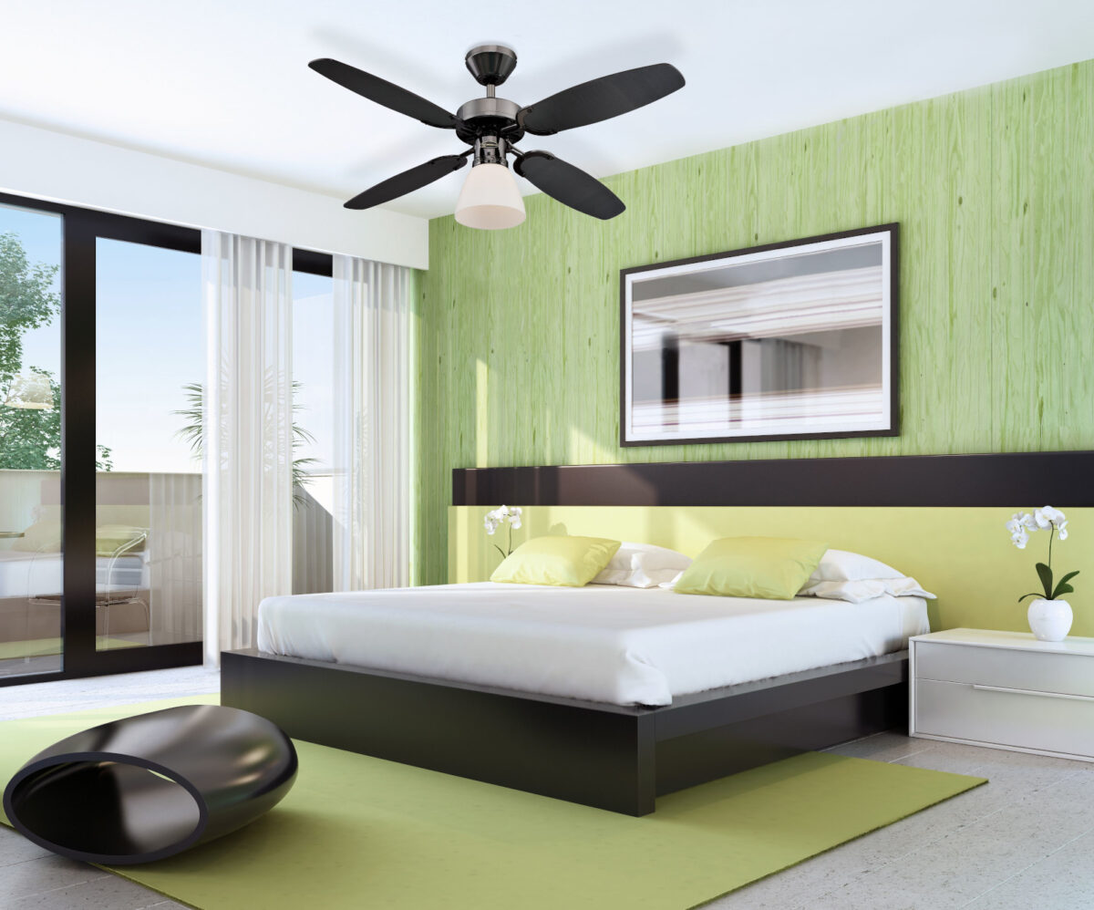 camera-verde-design