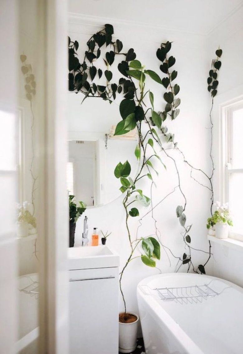 abbellire-il-bagno-con-le-piante-rampicanti-10-idee-e-foto-04