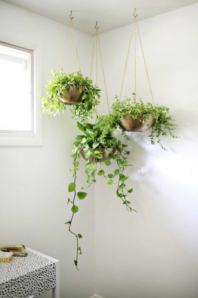 Abbellire l&#8217;ingresso di casa con le piante colorate: 10 idee e foto