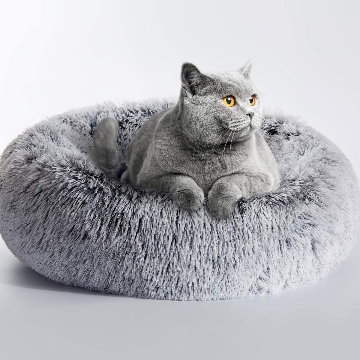 7 modelli di cuccia calda per cani e gatti