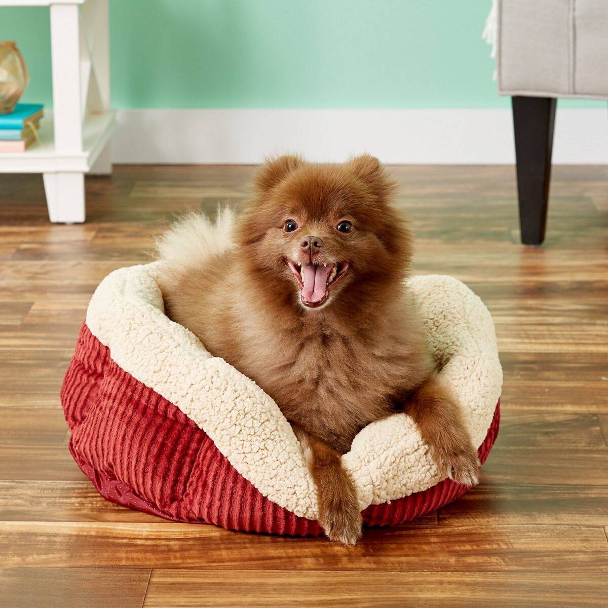 7 modelli di cuccia calda per cani e gatti