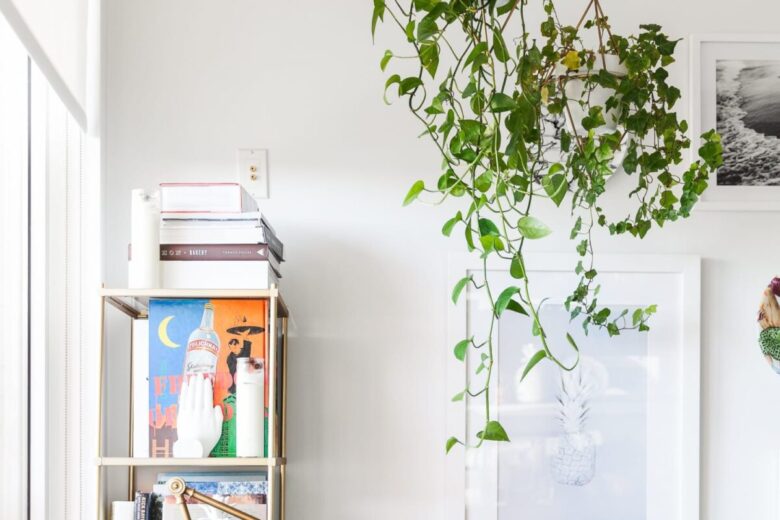 Abbellire l&#8217;ingresso con piante rampicanti: 10 idee e foto