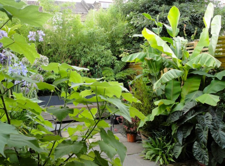 Giardino stile tropicale: 8 idee e foto