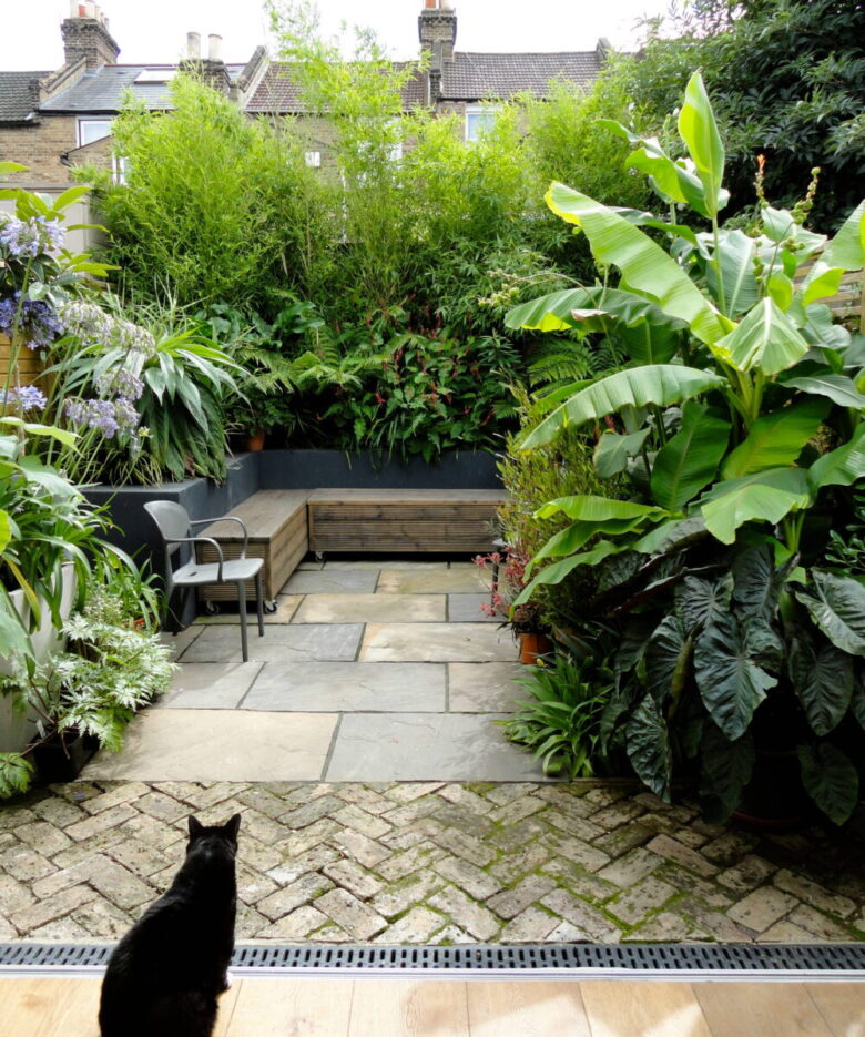 Giardino stile tropicale: 8 idee e foto