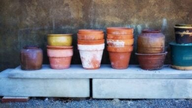 Come riciclare un vaso: 10 idee e foto