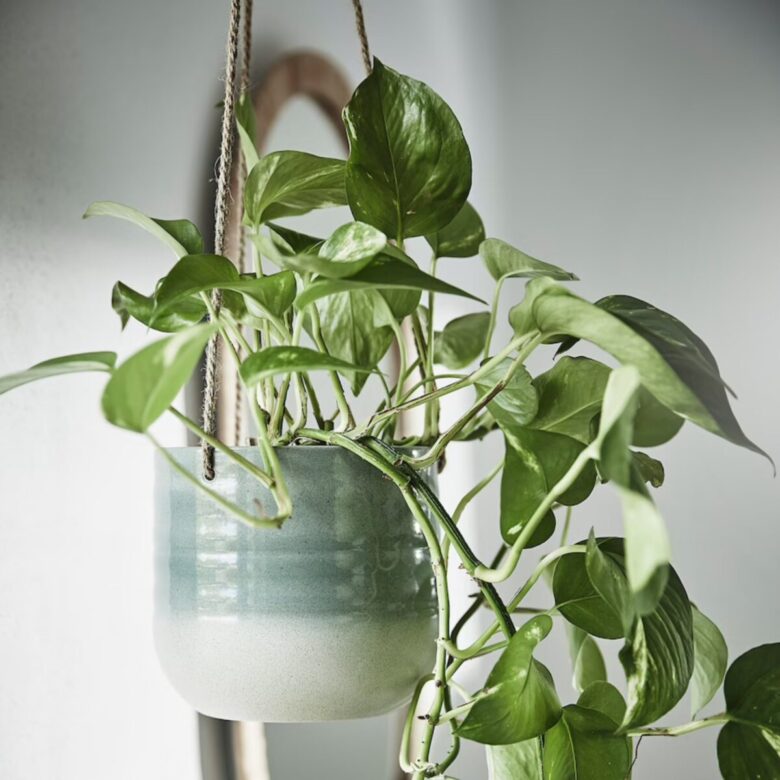 10 vasi Ikea per arredare casa: idee e foto