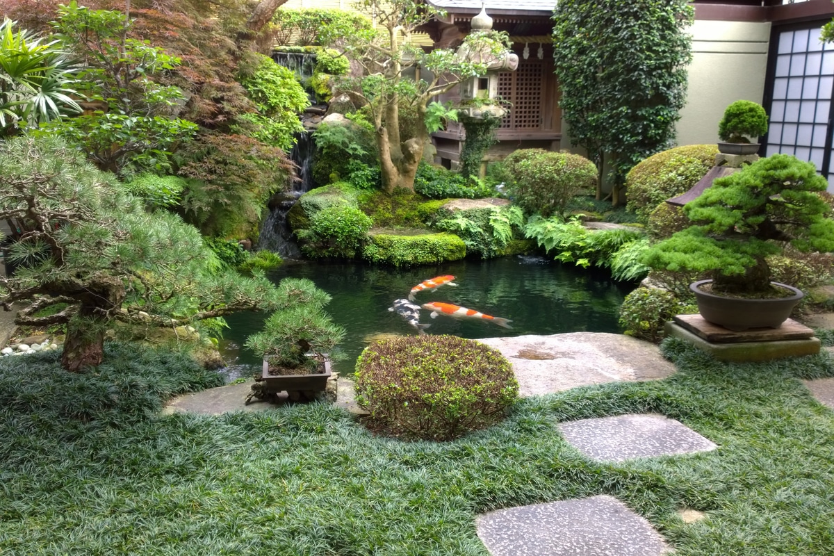 Giardino stile etnico: 5 idee e foto