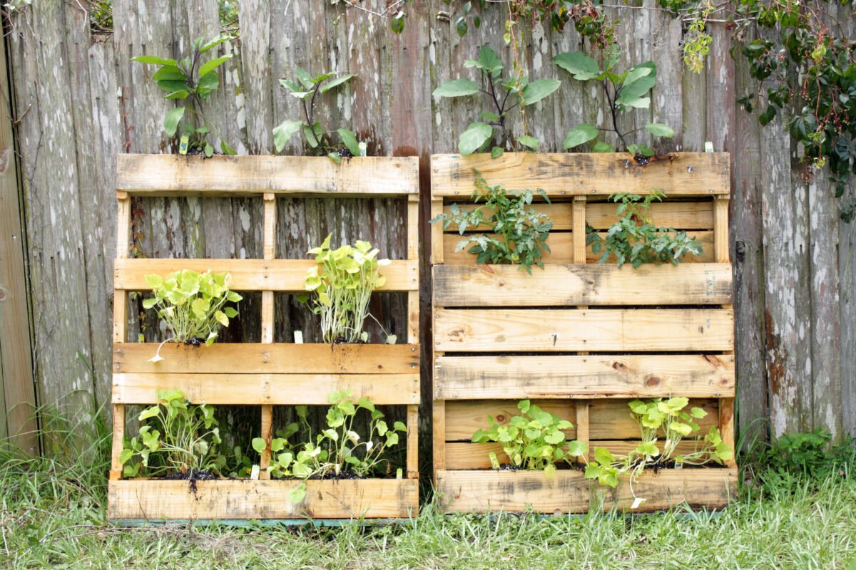 orto verticale pallet