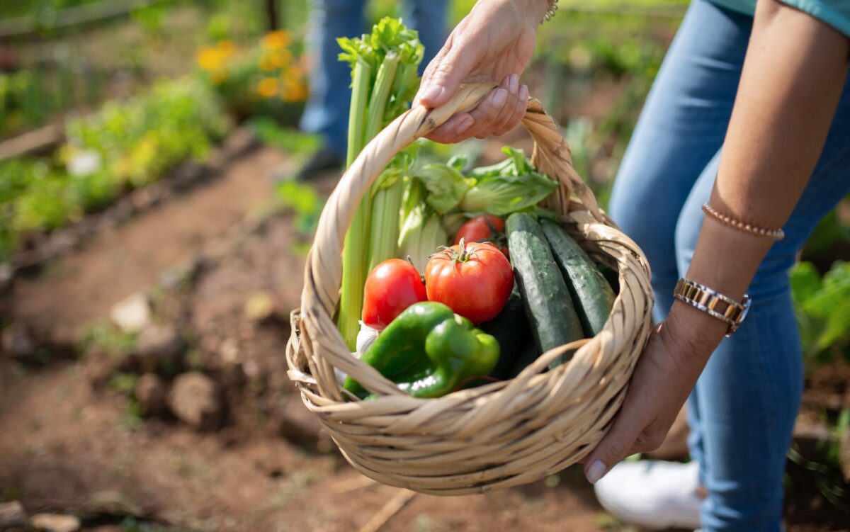 Mobili arredo giardino: 5 idee, foto e consigli