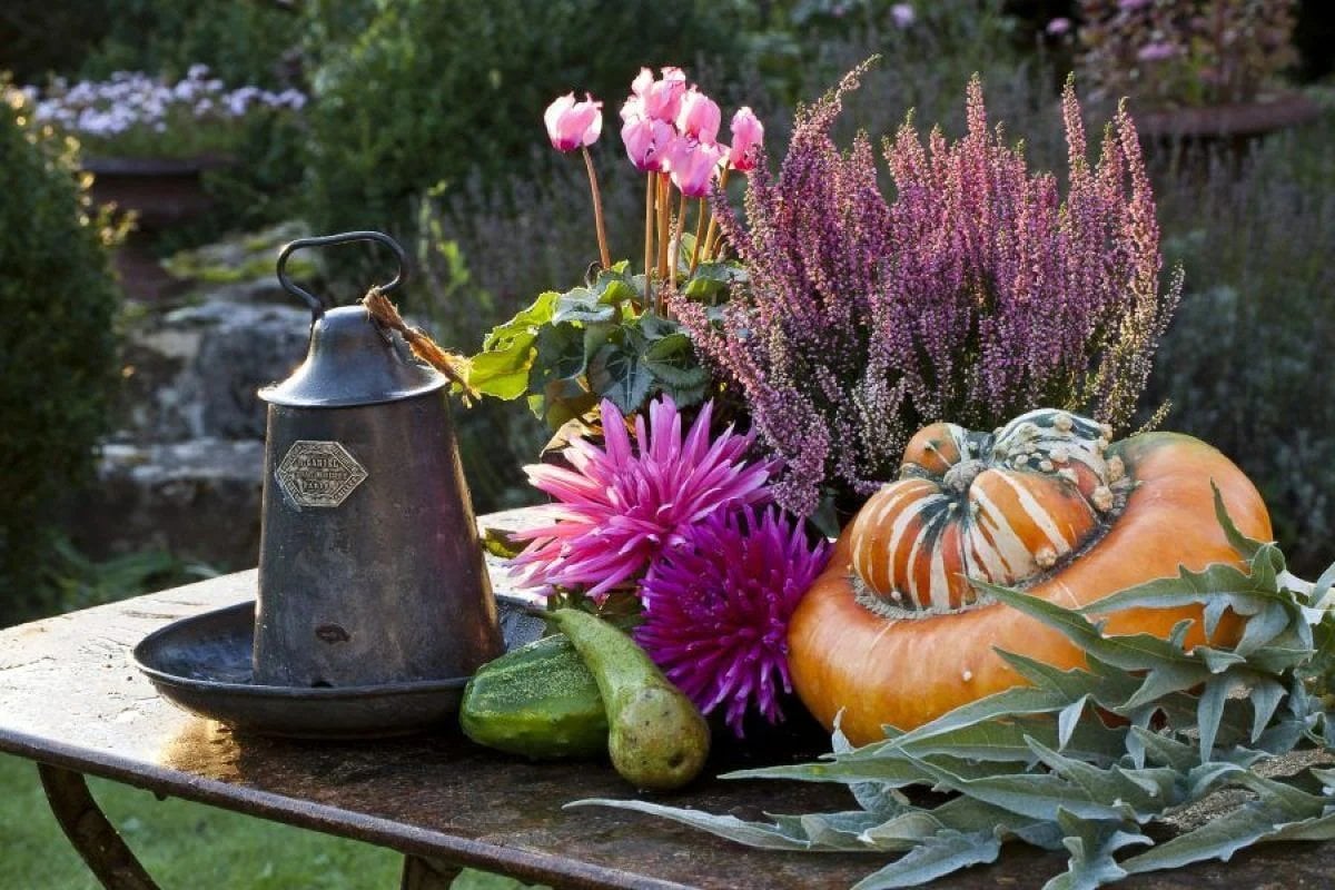 Giardino fai da te autunnale: 5 modi semplici di modifica Giardino fai da te autunnale: 5 modi semplici di modifica