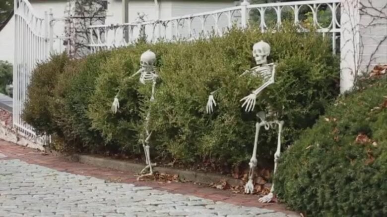 Come decorare il giardino per Halloween Come decorare il giardino per Halloween