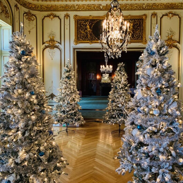 Idee casa green: risparmia con l’albero di Natale a noleggio! Idee casa green: risparmia con l’albero di Natale a noleggio!