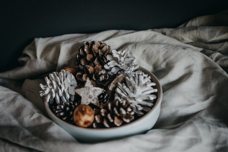 Natale in stile nordico: arredare a costo zero con le pigne Natale in stile nordico: arredare a costo zero con le pigne