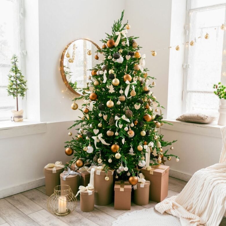 Albero di Natale perfettamente decorato? Prova Treegonometry! Albero di Natale perfettamente decorato? Prova Treegonometry!