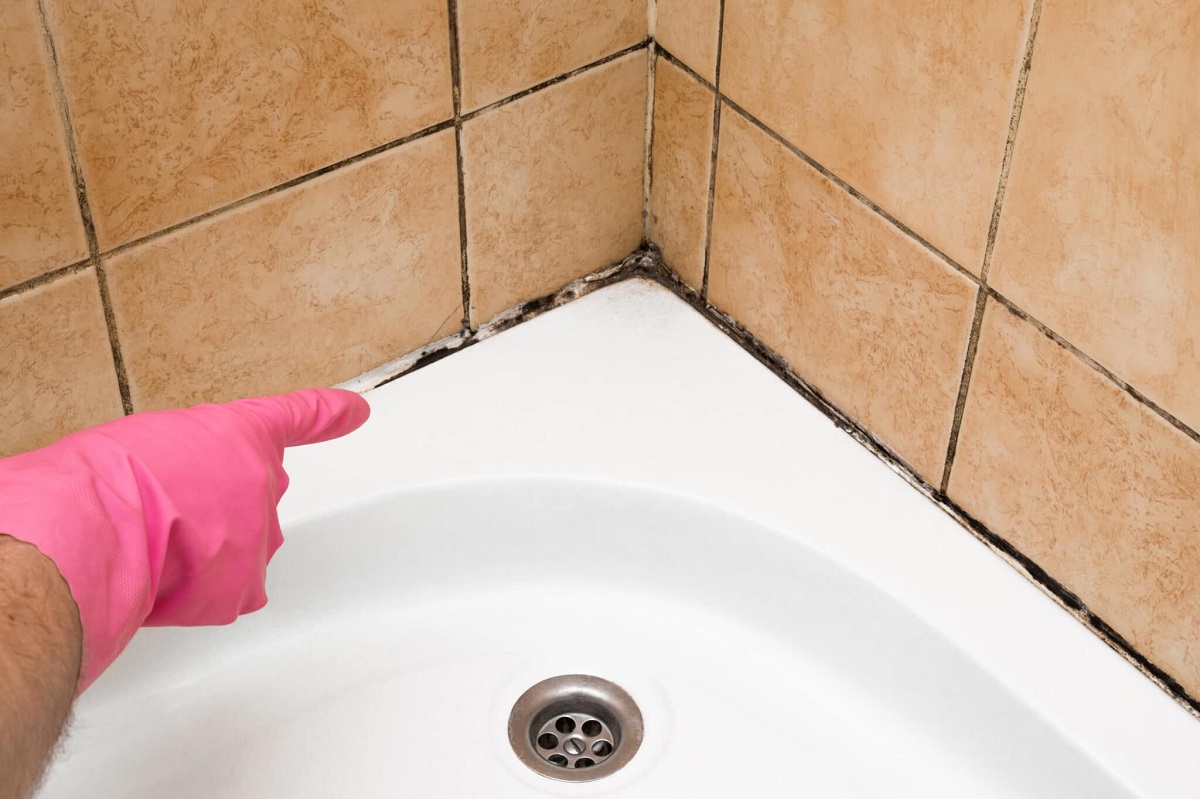 Via la muffa dalla doccia senza candeggina, ecco come Via la muffa dalla doccia senza candeggina, ecco come