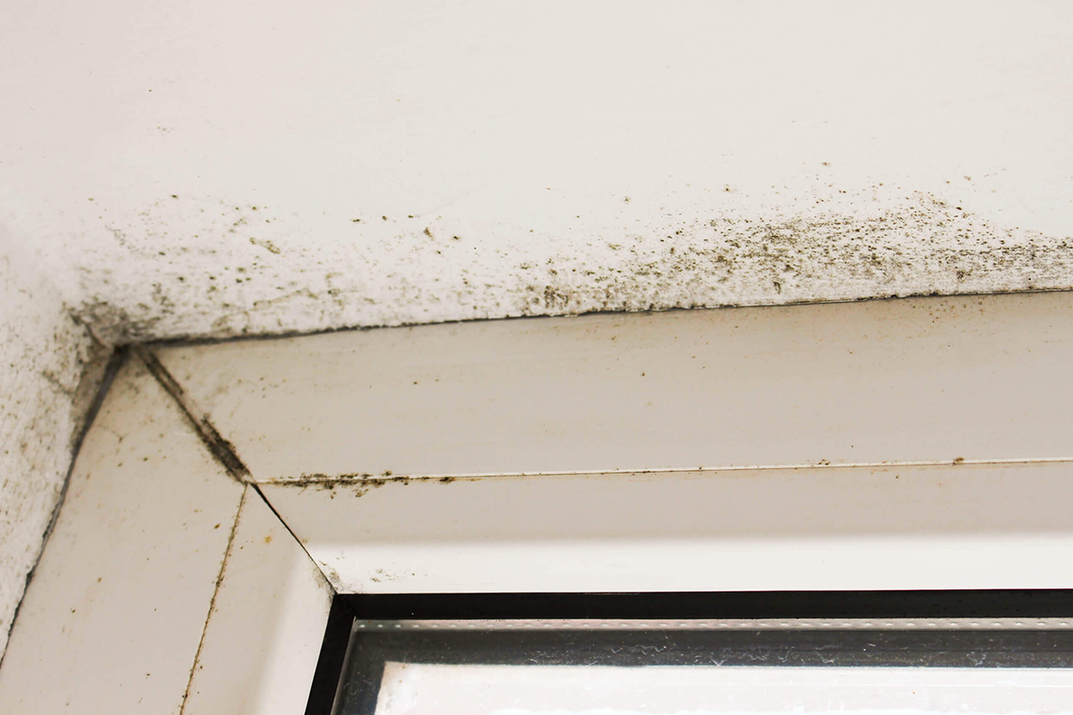 5 soluzioni per l’umidità in casa 5 soluzioni per l’umidità in casa