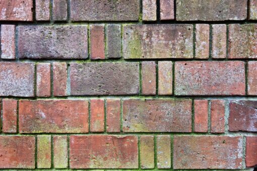 Macchie di muschio su pareti e pavimenti: le rimuovi da solo con questi ingredienti