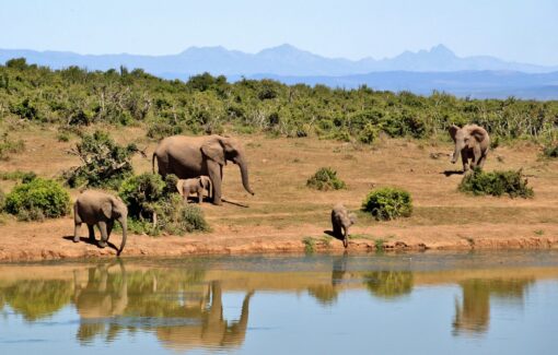 Resort, Architettura e natura: vari parchi naturali da visitare