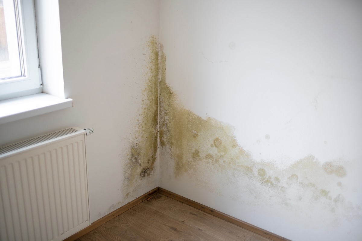 6 consigli per una casa più vivibile e libera dall’umidità 6 consigli per una casa più vivibile e libera dall’umidità