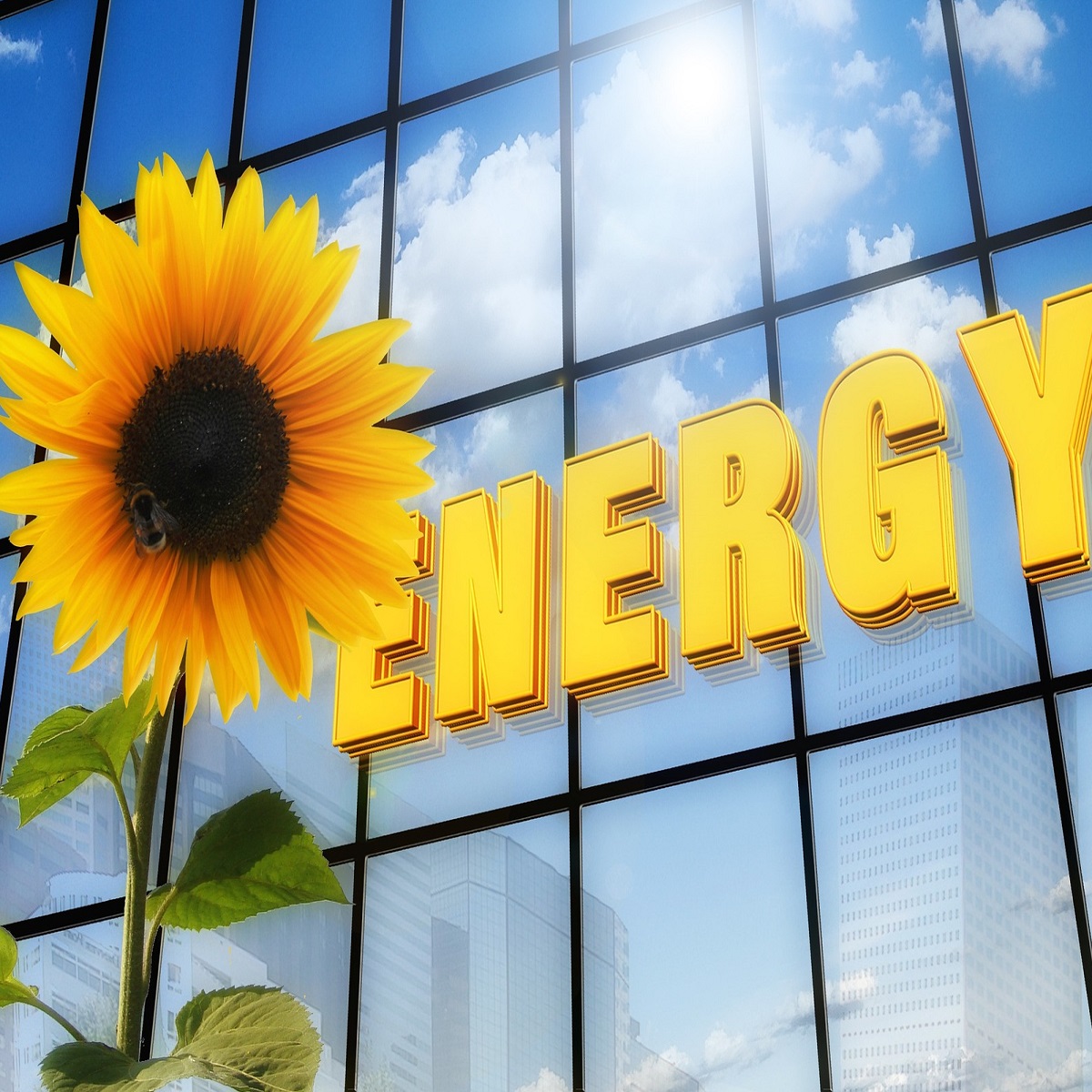 Girasole con ape pannello fotovoltaico ENERGY Girasole con ape pannello fotovoltaico ENERGY