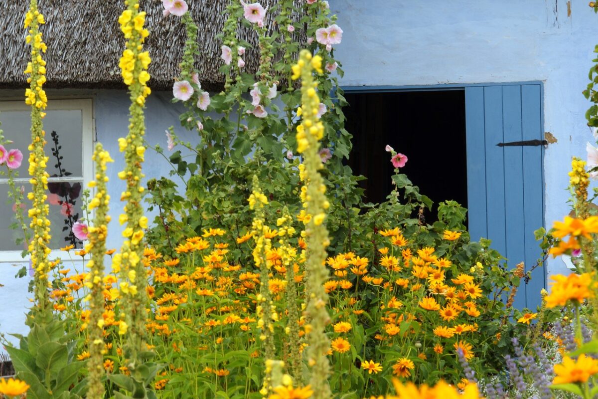 Fiori dinnanzi finestra casale di campagna