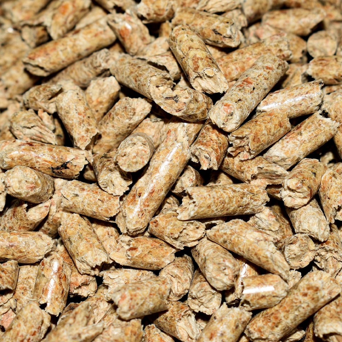 Pellet Pellet