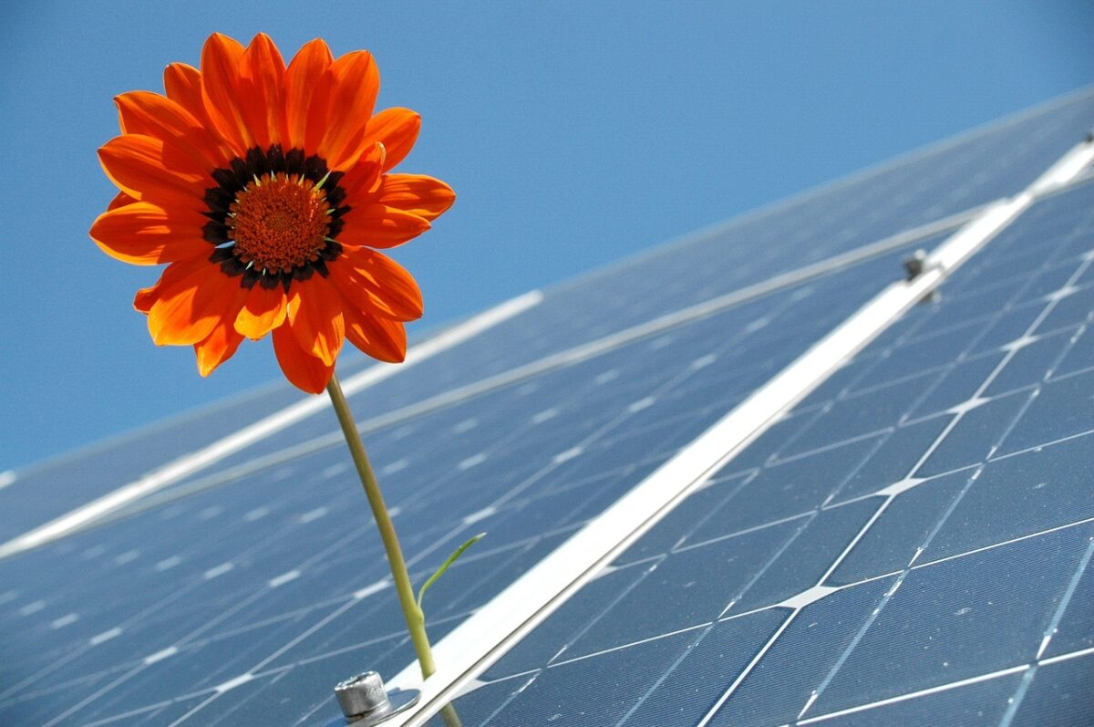 pannelli fotovoltaici