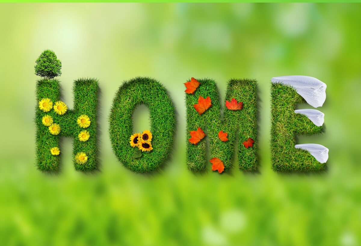 Scritta Home con piante e verde