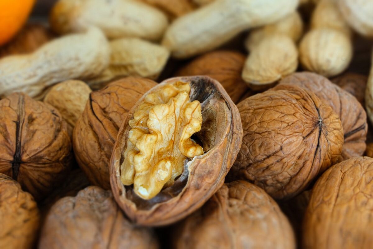 Gusci di noci Gusci di noci