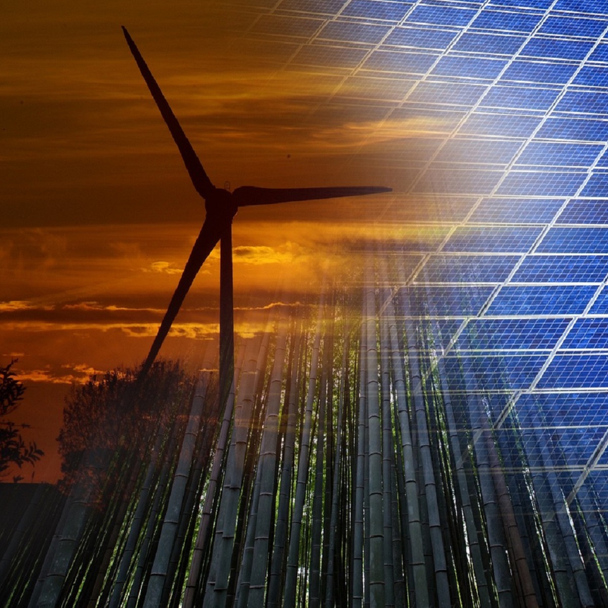 Fonti di energia rinnovabile Fonti di energia rinnovabile