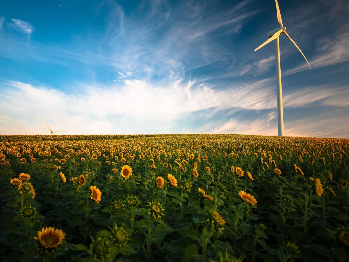 Energie rinnovabili Energie rinnovabili