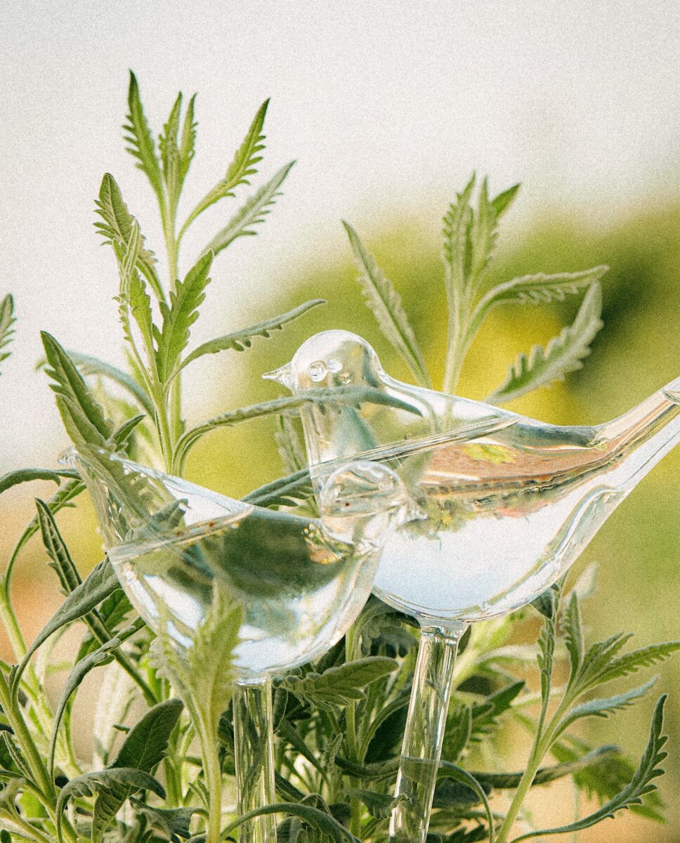 Bolla per annaffiare a forma di merlo Bolla per annaffiare a forma di merlo