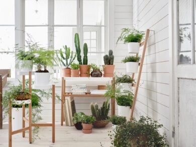 Un giardino in casa: con Ikea si può