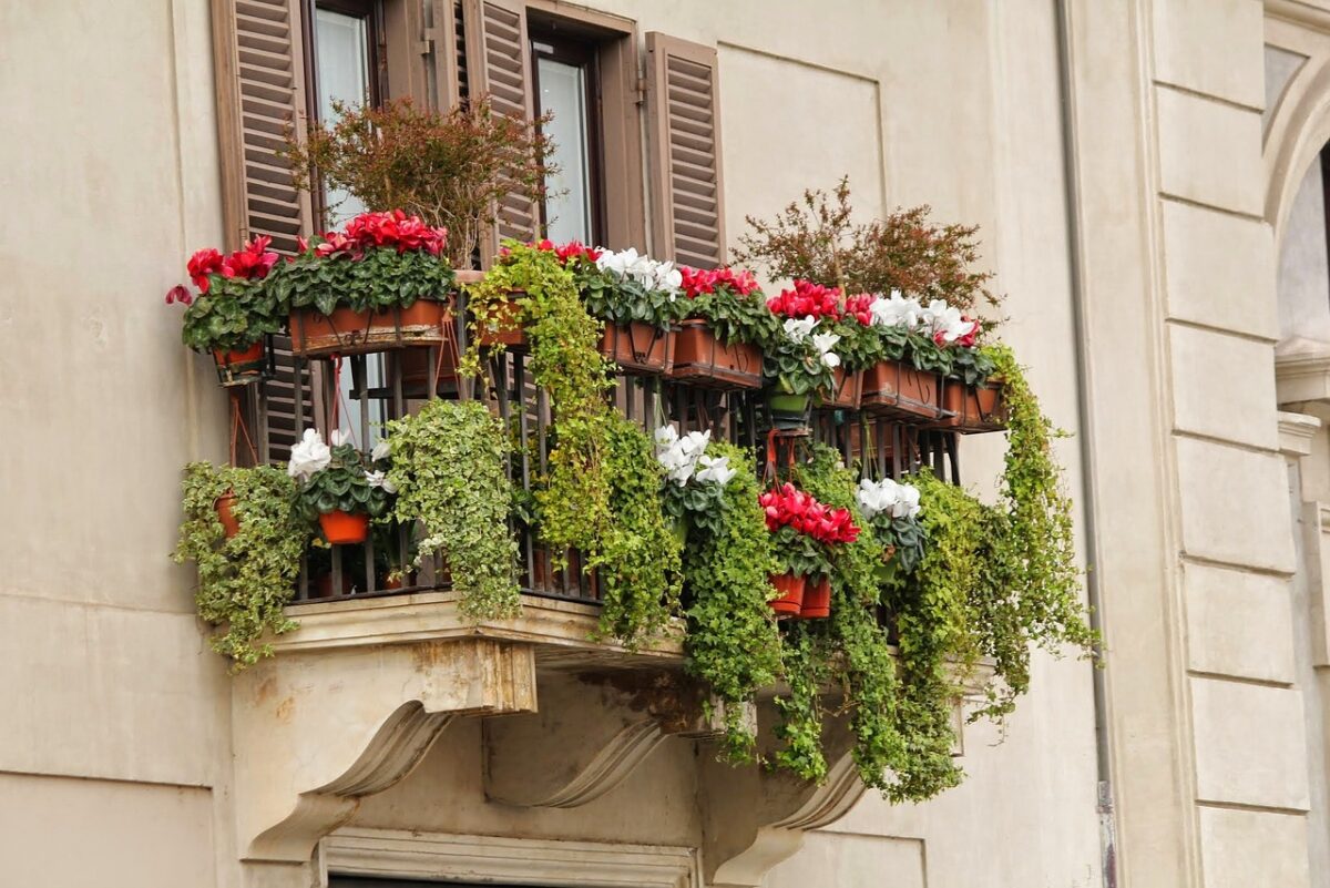 Balcone d’autunno: le piante di tendenza del 2023 Balcone d’autunno: le piante di tendenza del 2023