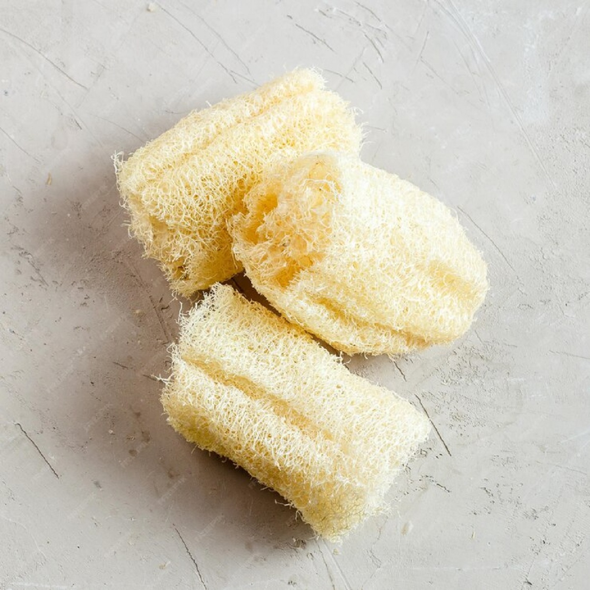 Spugne di luffa: rivoluzione energetica con zero emissioni di CO2 Spugne di luffa: rivoluzione energetica con zero emissioni di CO2